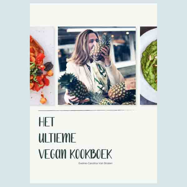ultieme vegan kookboek van Linne van Straateen
