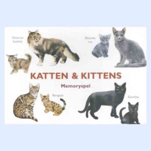 memorryspeel katten en kittens