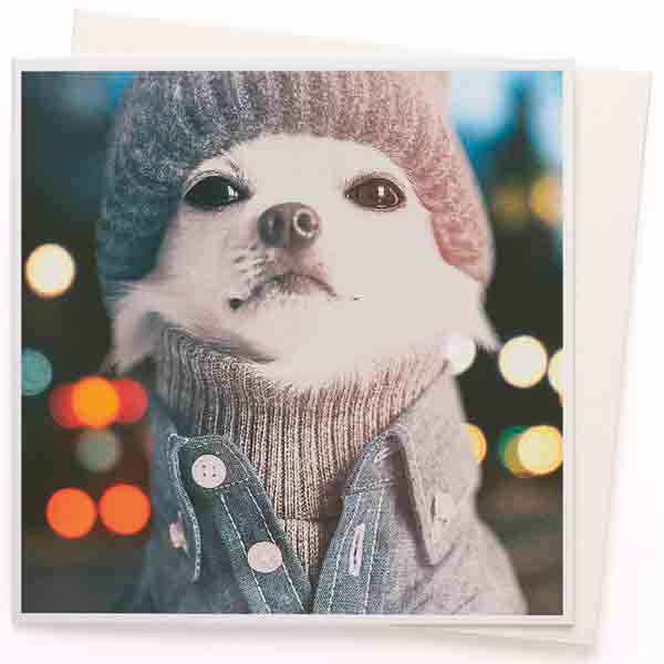 Dubbele Kaart & Envelop Dogs