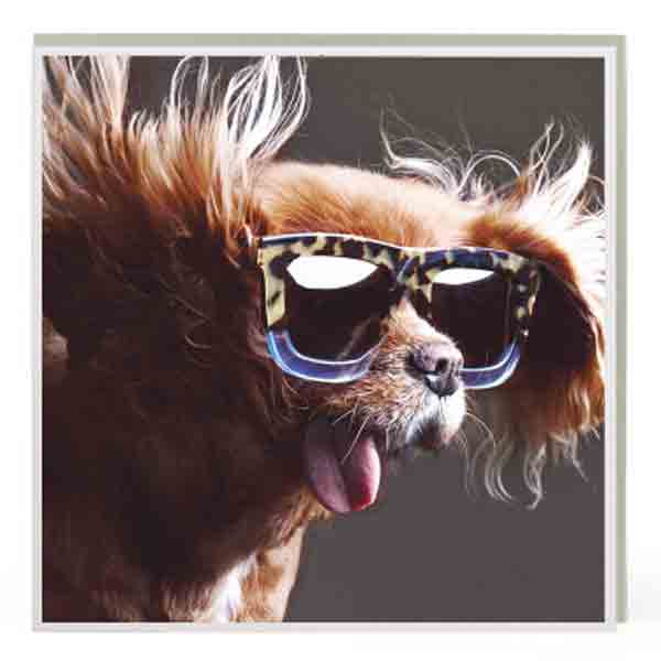 Dubbele Kaart & Envelop Dogs