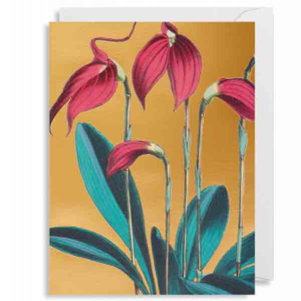 Royal Botanic Garden Dubbele Minikaart & Envelop 9 x 12 cm.