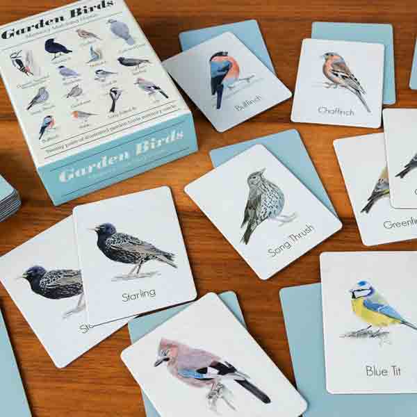 Rex London Tuinvogels Memory Spel